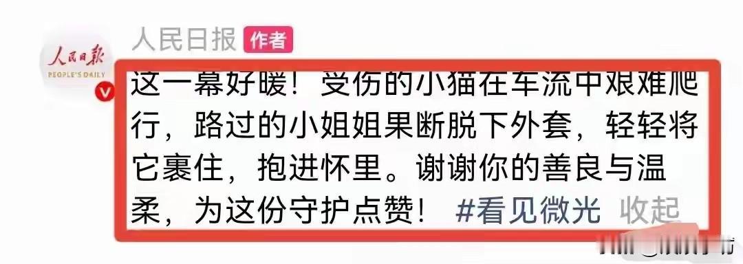 近日，常州金坛某主干道上演了最温暖的一幕。
一只后腿瘫痪的流浪猫被困车流中央，被