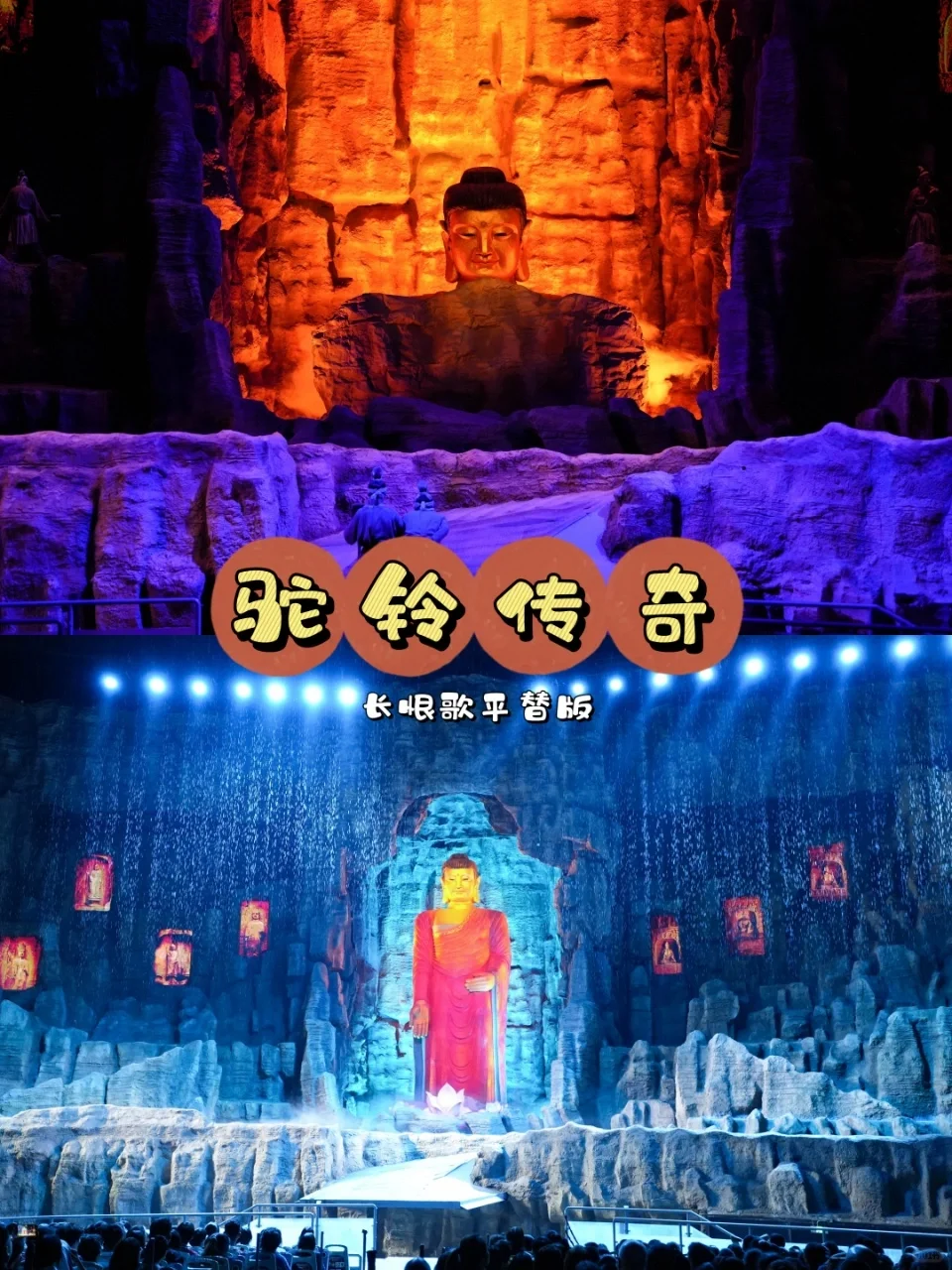 西安这波赢麻了❗真狼🐺真骆驼🐫都上了