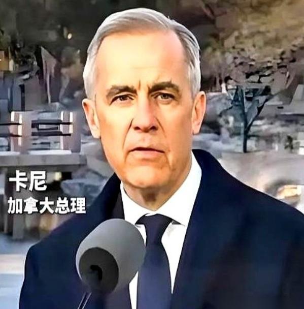 加拿大总理卡尼，亲手撕了剧本。前脚刚跟着美国，把中国电车的关税加到100%，后脚