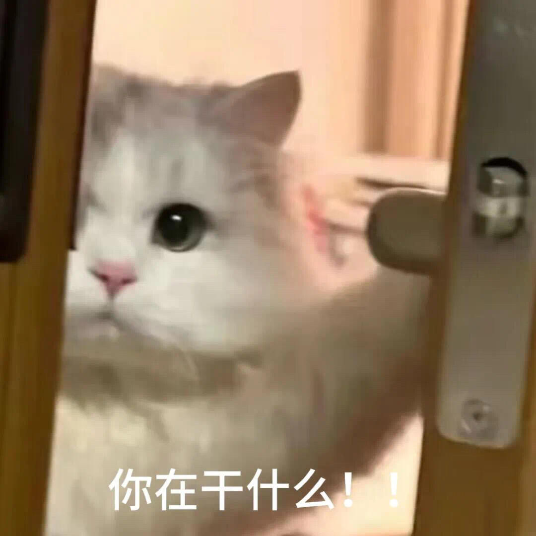 交出你爱用的表情包||#可可爱爱表情包[话题]##表情包[话题]##猫咪表情包[