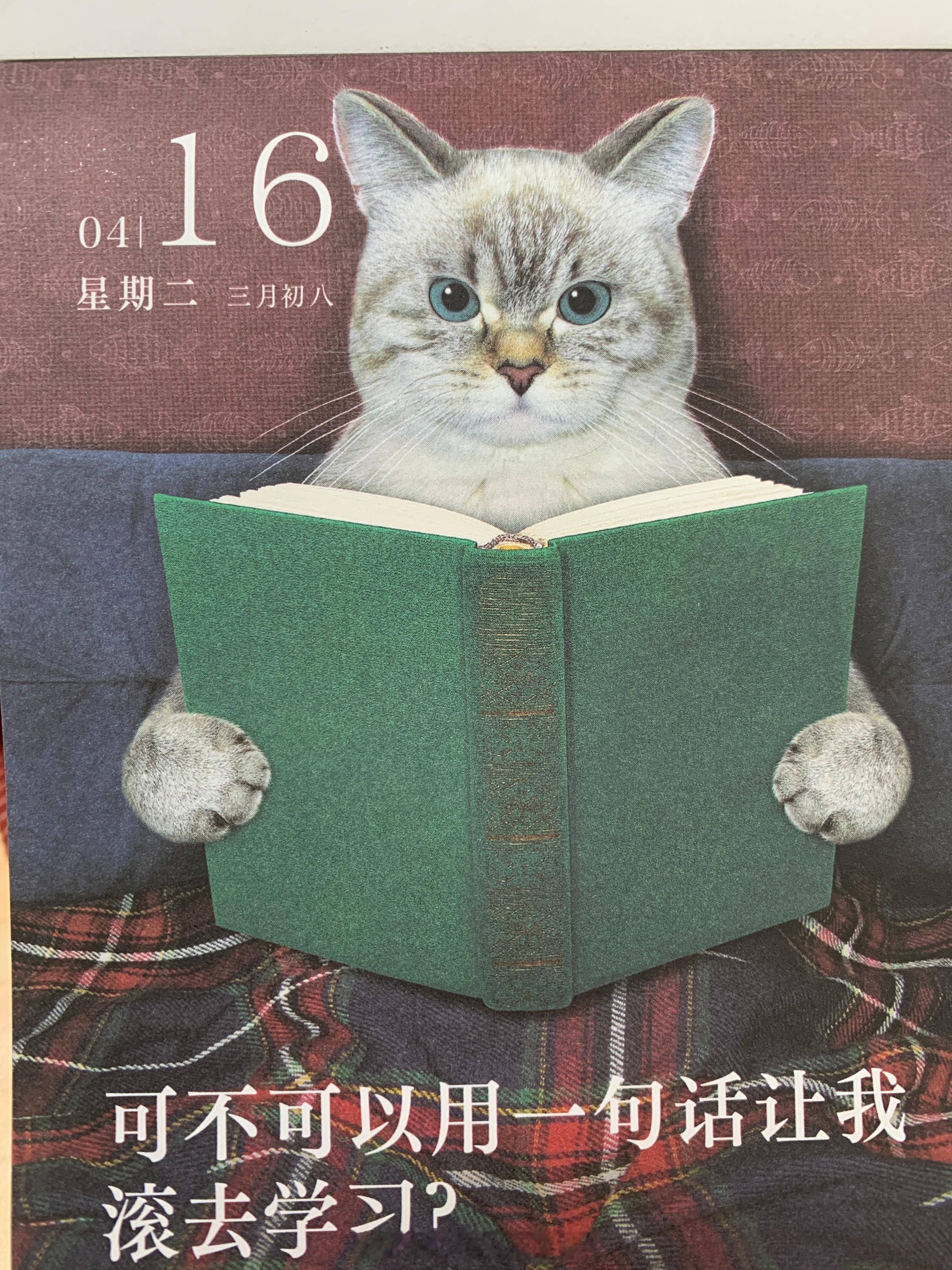 朋友们早上好～ ​​​