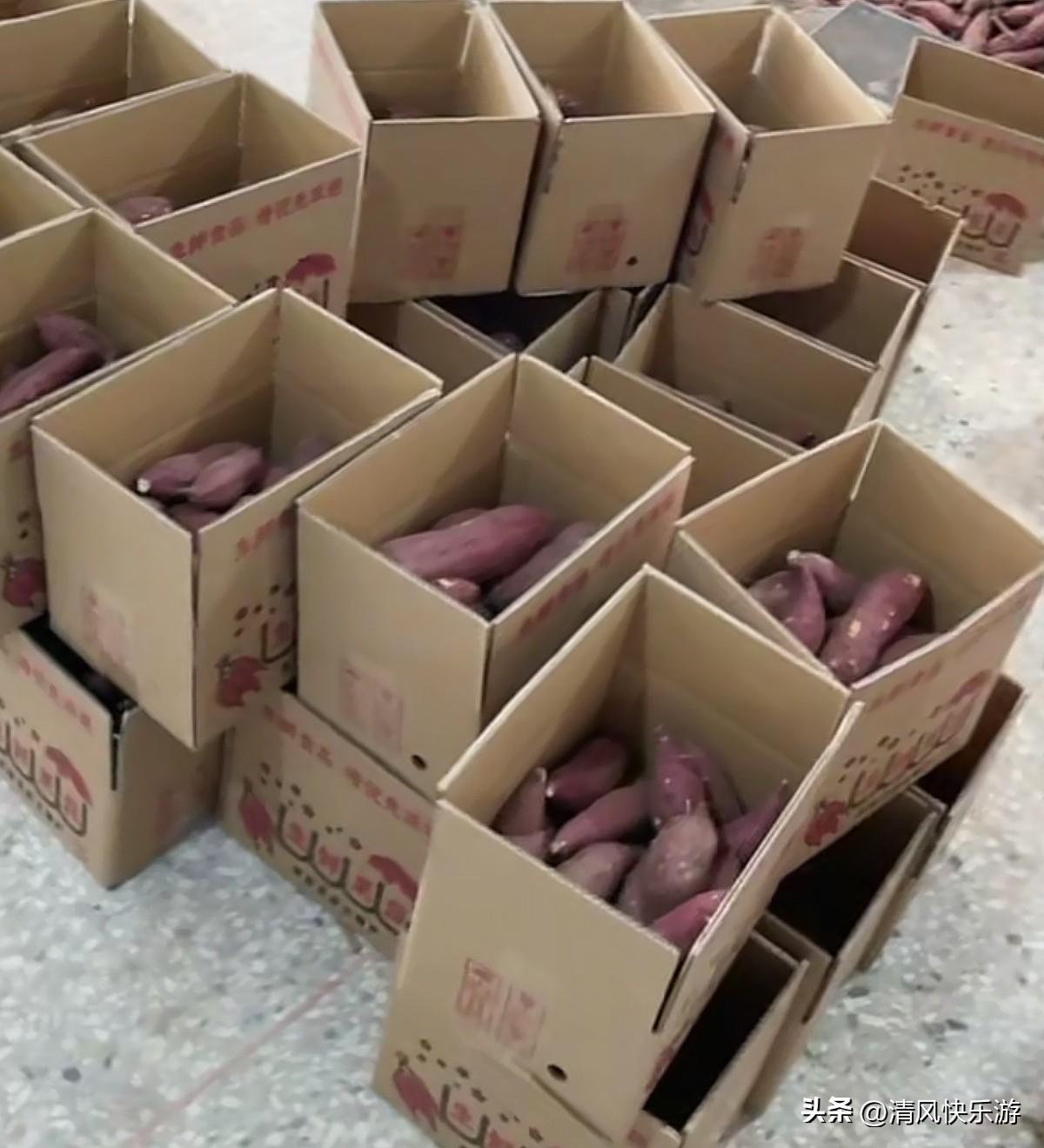 一个人在家做电商月入6W我很满足，以前从没想过自己会有今天这样的生活，只有初中文