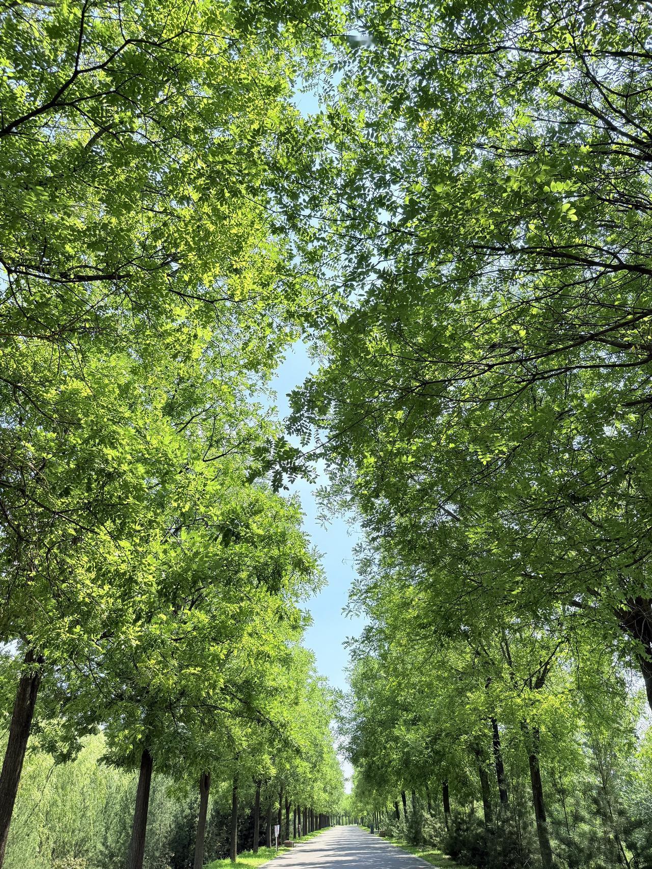 英雄解甲隐于市，信仰开花照后人