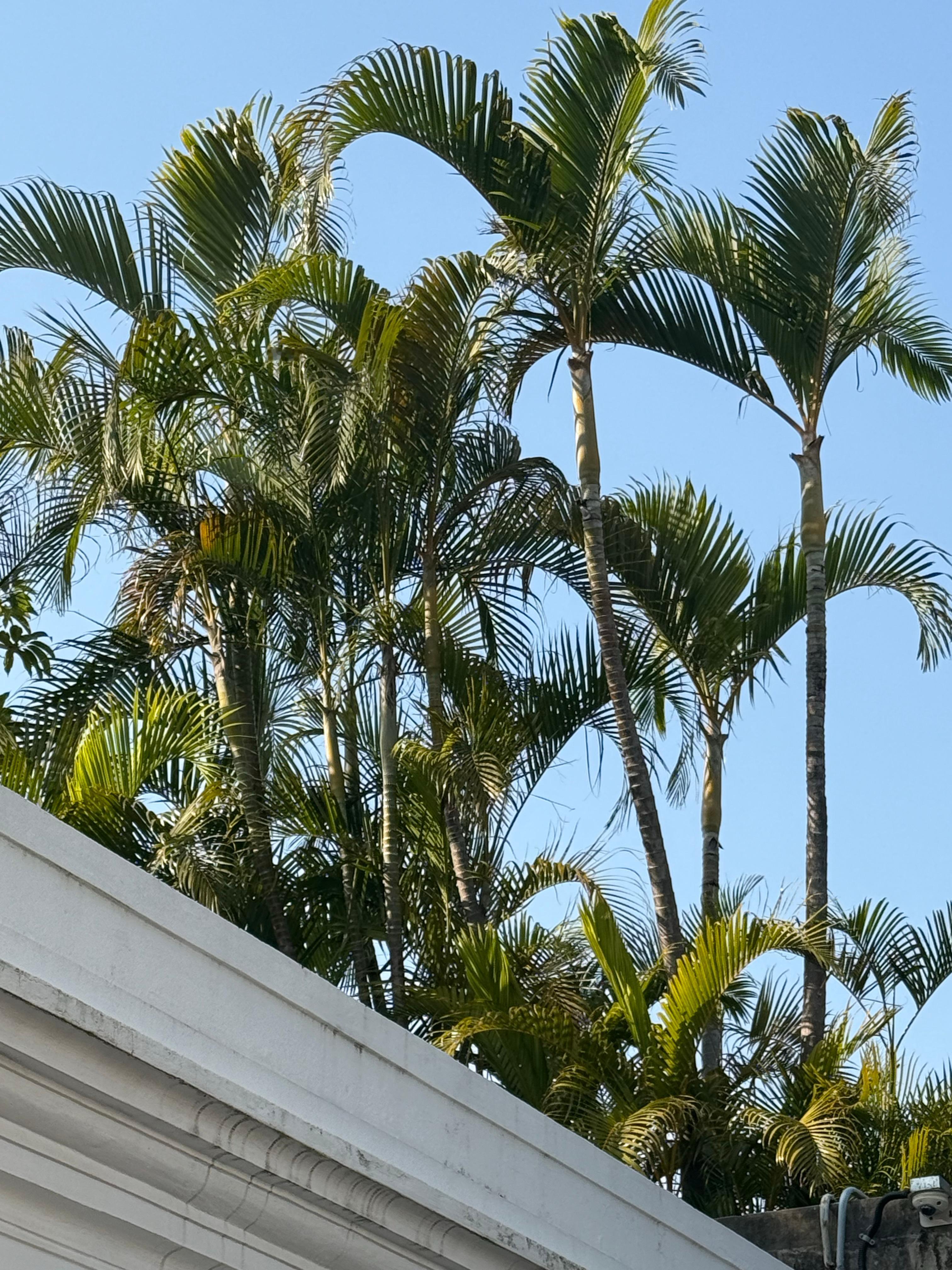 日子好起来了 