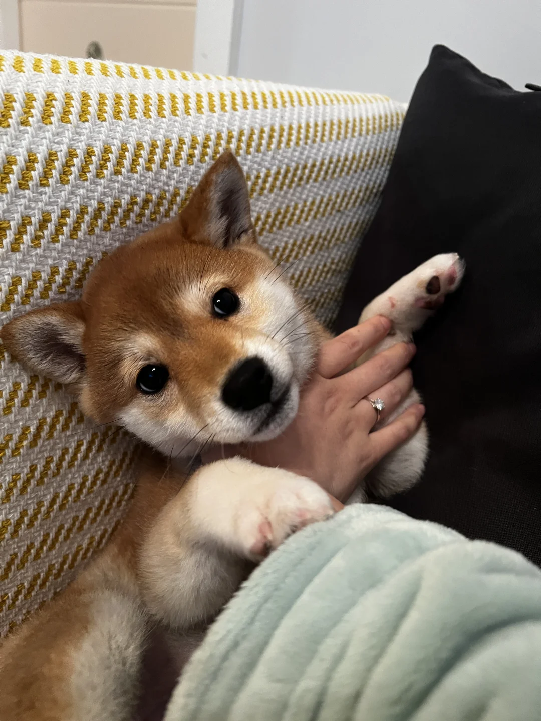 随机迷薯一个ee