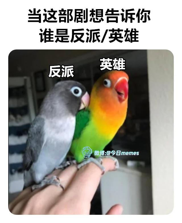 偏好（9gag）今日meme 今日memes