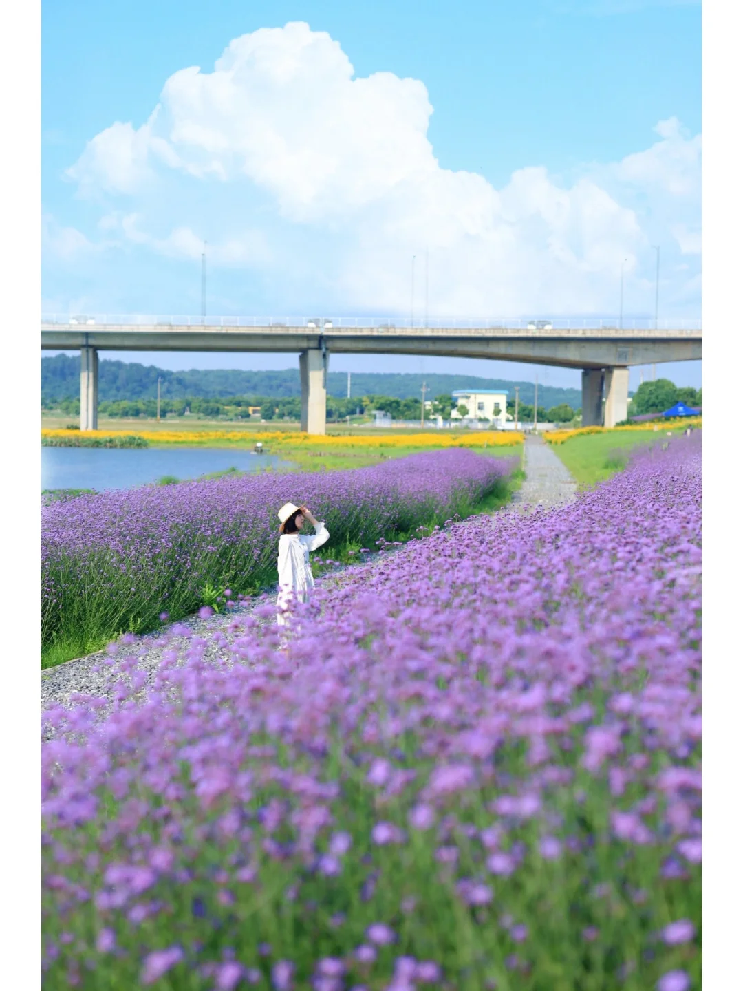 我宣布❗️这是武汉春日最美的11个露营地