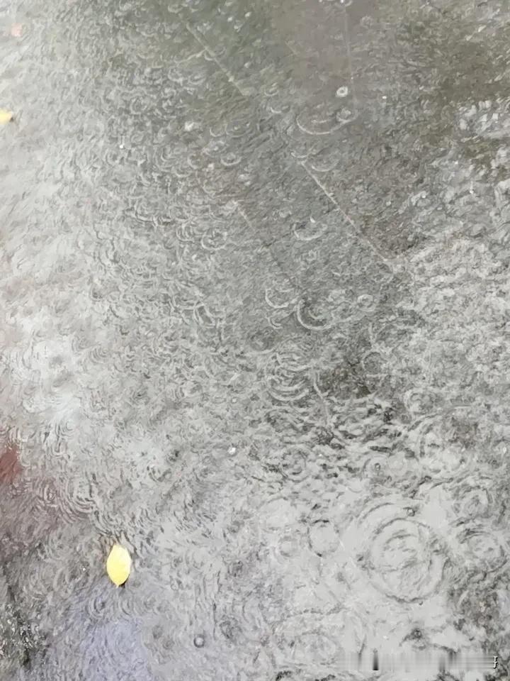 死哦，又开始下大雨了，广西太难了，连续几天了，有完没完啊。