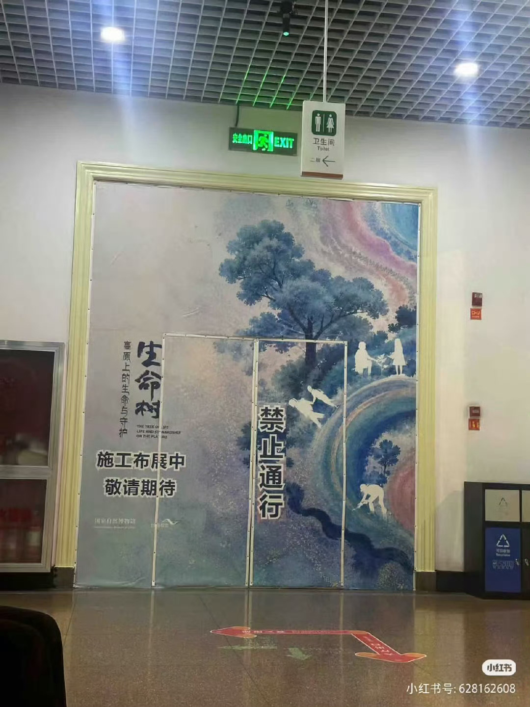 生命树的伟大是进博物馆的伟大