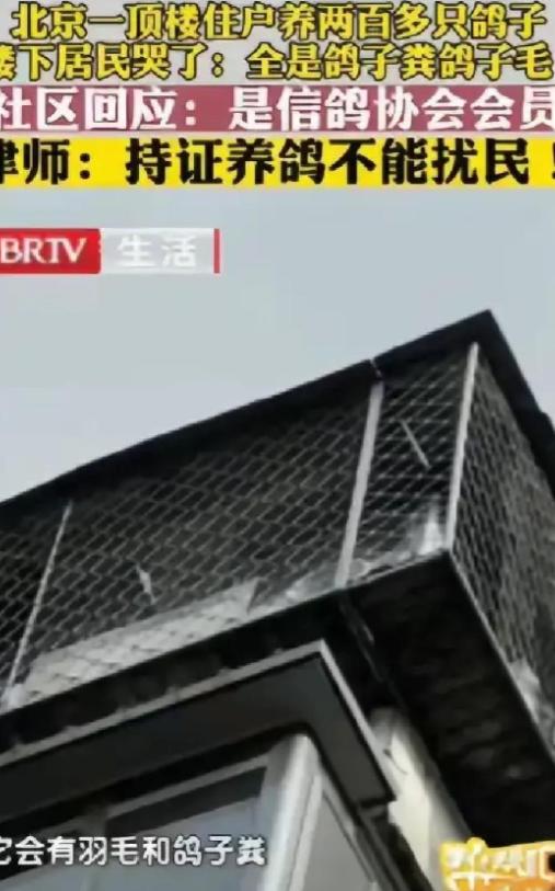 “太缺德了。” 北京一男子花 235 万元买套房子，结果楼上邻居养了 200 多