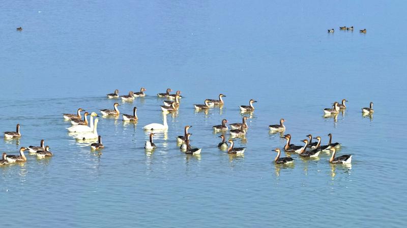 读《近思录》之3.4　

欲知得与不得，于心气上验之。思虑有得，中心悦豫，沛然有
