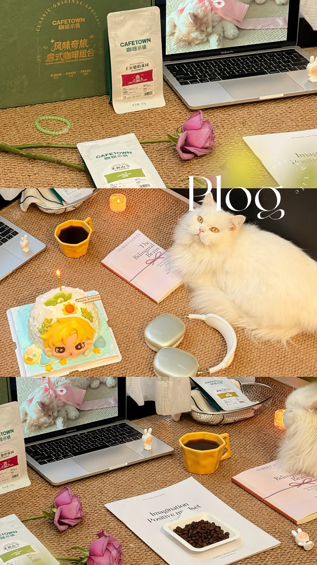 My life|水瓶座生日月🎁真的太懂我了！