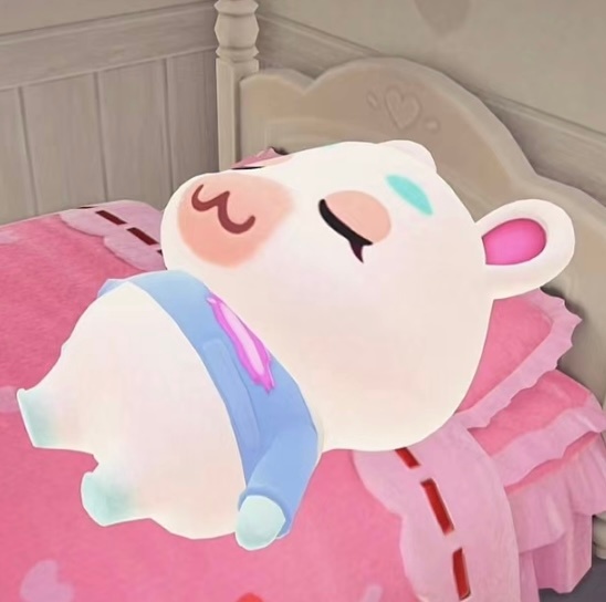 🐽 ​​​