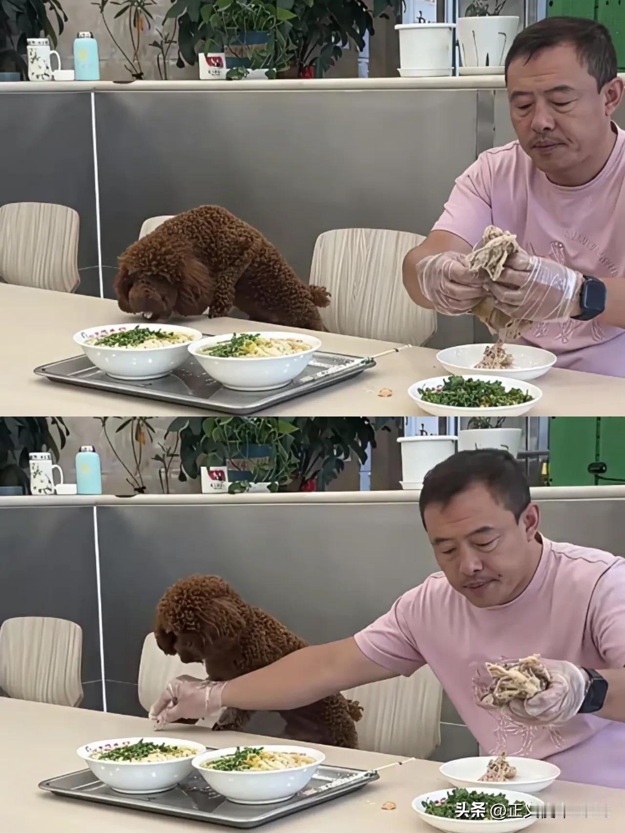 沈阳老四季面馆的老板，窝窝囊囊地得罪了全国人。

真是又怂又勇，说他胆子大吧，他
