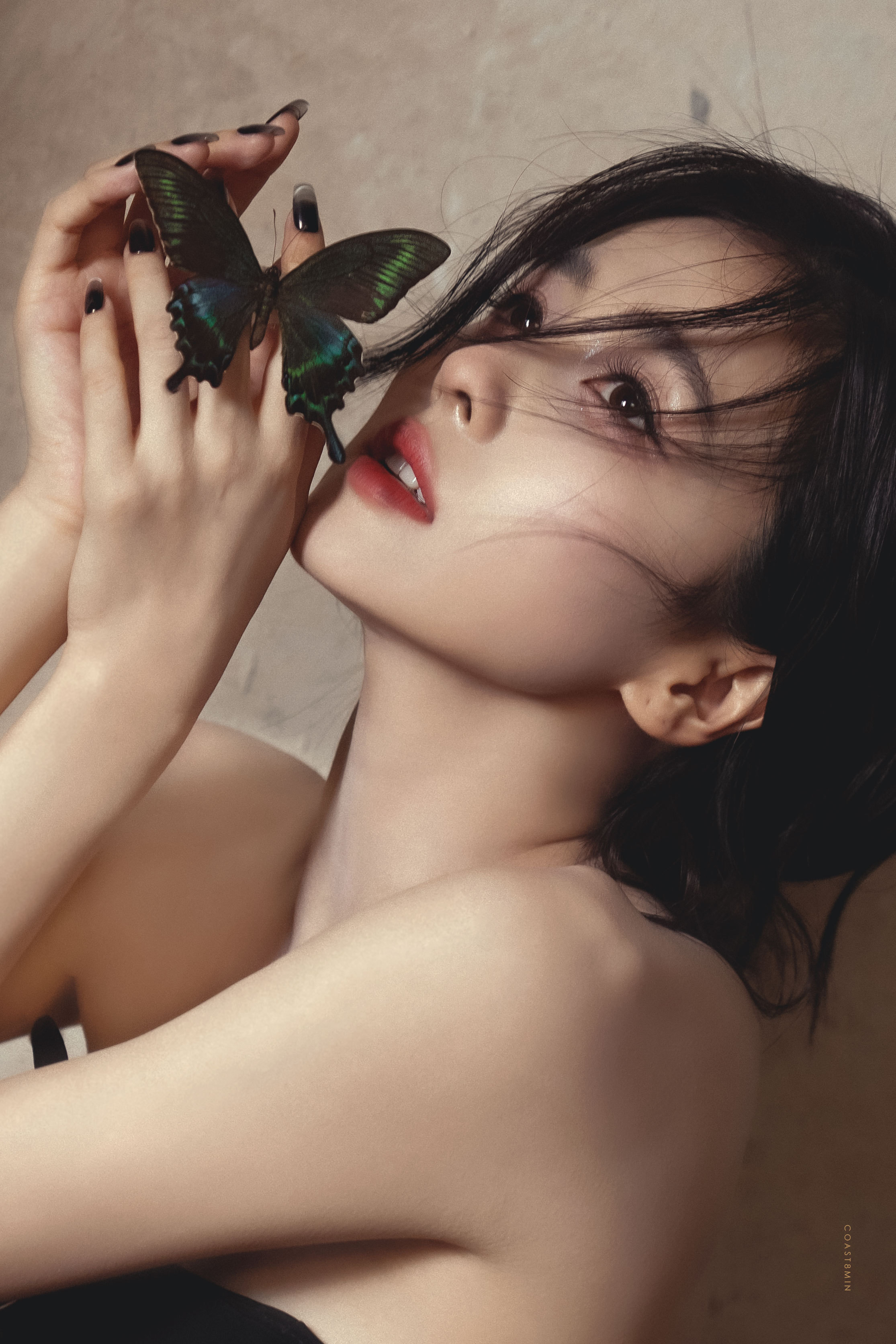 白鹿 🦋-蝴蝶眨几次眼睛 ​​​