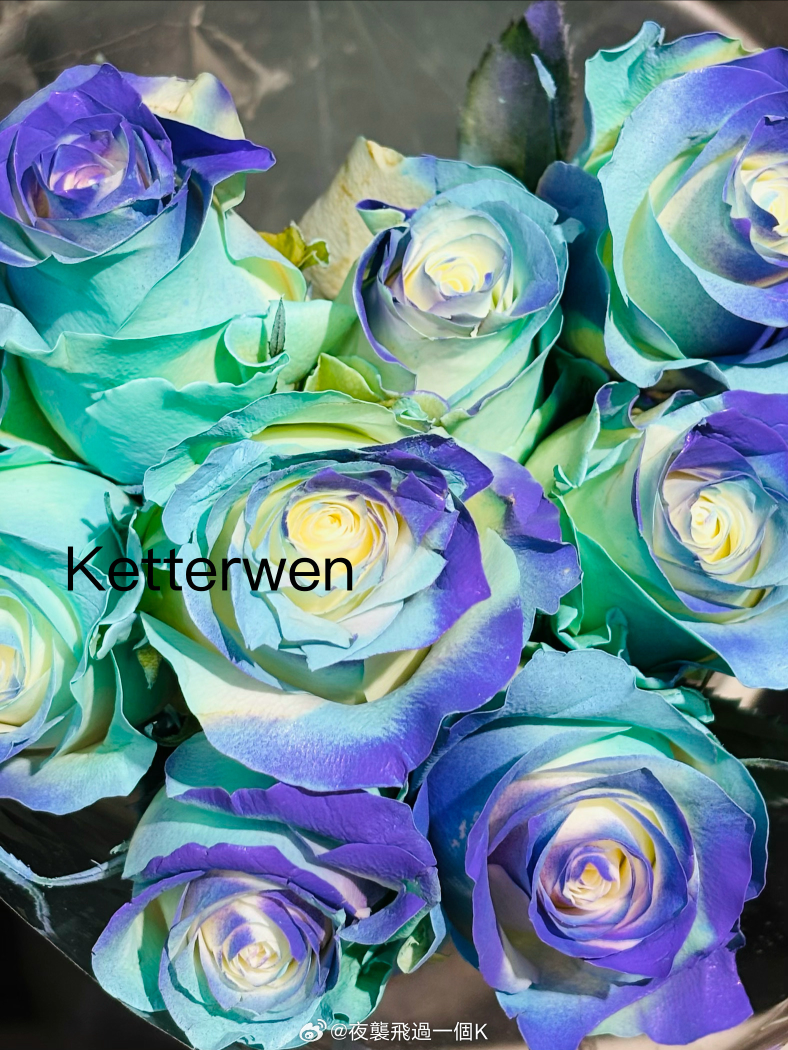 是炫彩花花🌸  专栏 · ketterwenの騎行紀錄