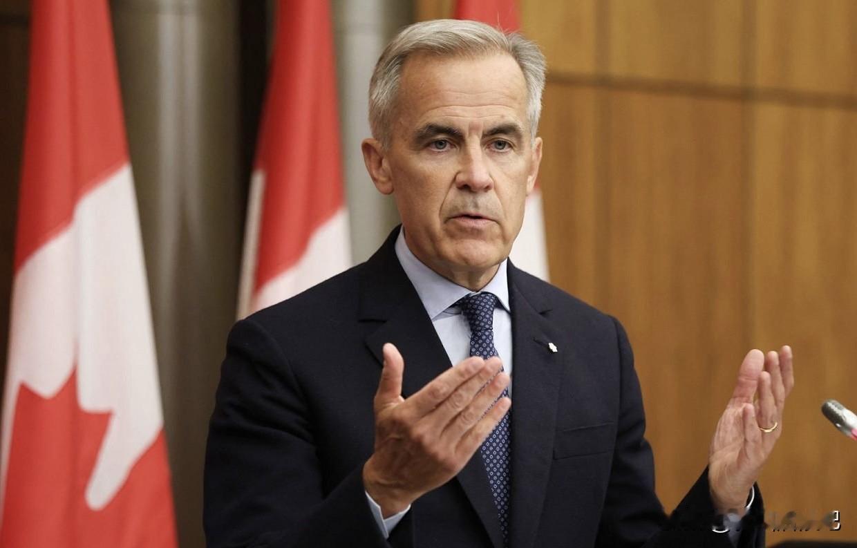 加拿大总理马克·卡尼表示，长期以来由美国主导的国际秩序已经结束。加拿大必须调整其