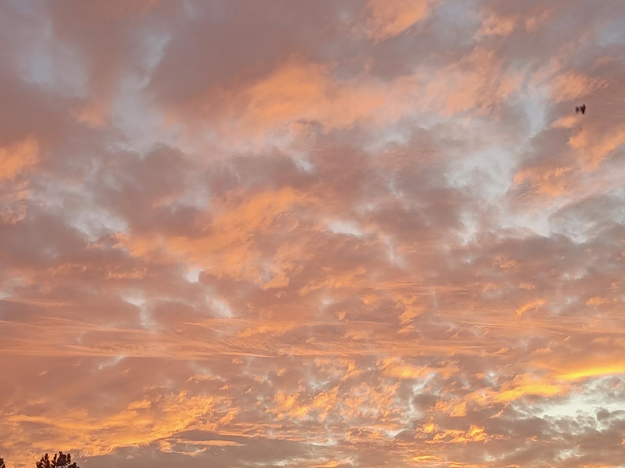 许多年前，为了孩子没守住诺言，我会忍不住发火。年轻时，心中充满焦虑与执着，但随着