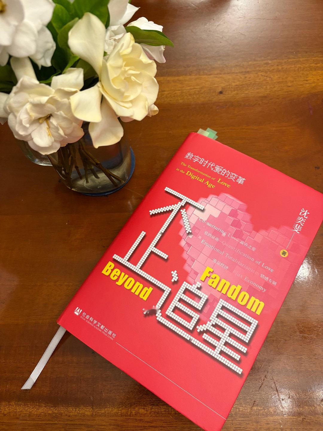 我们已经进入半硅基半碳基时代——《不止追星》会翻开《不止追星》这本书，因为我是二