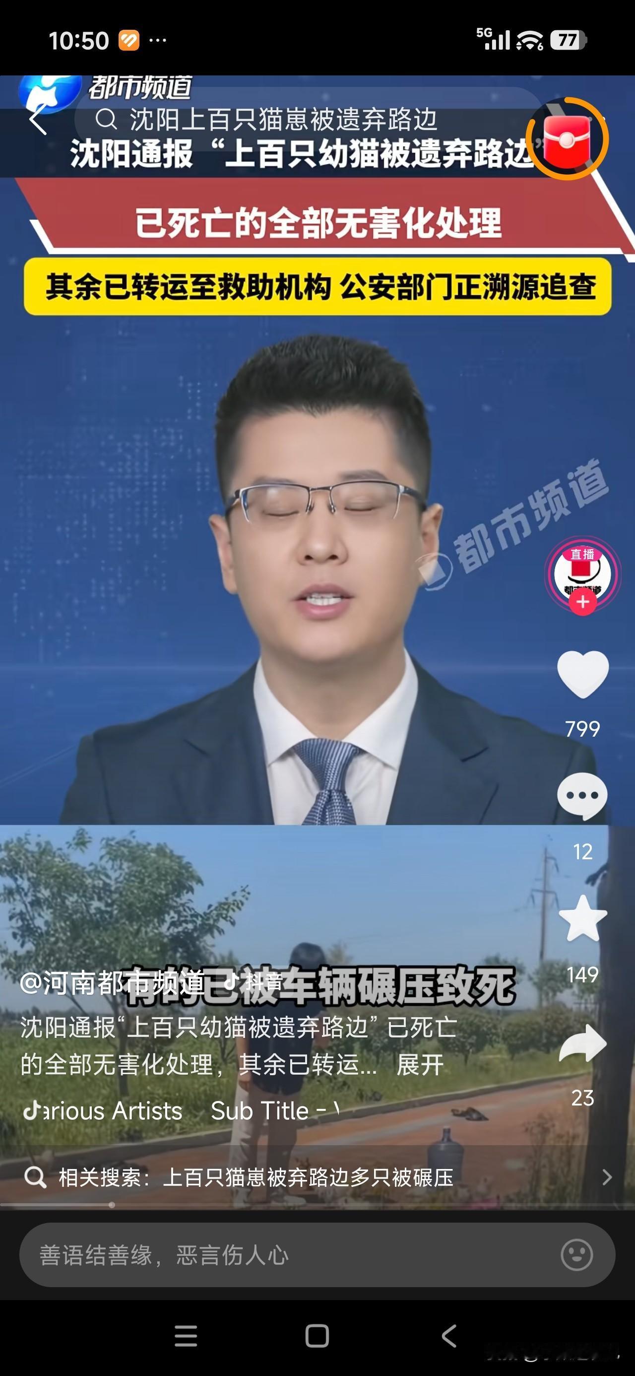沈阳于洪区路边上出现了上百只被遗弃的名贵幼猫，这些猫咪性格温顺，主要品种有布偶猫