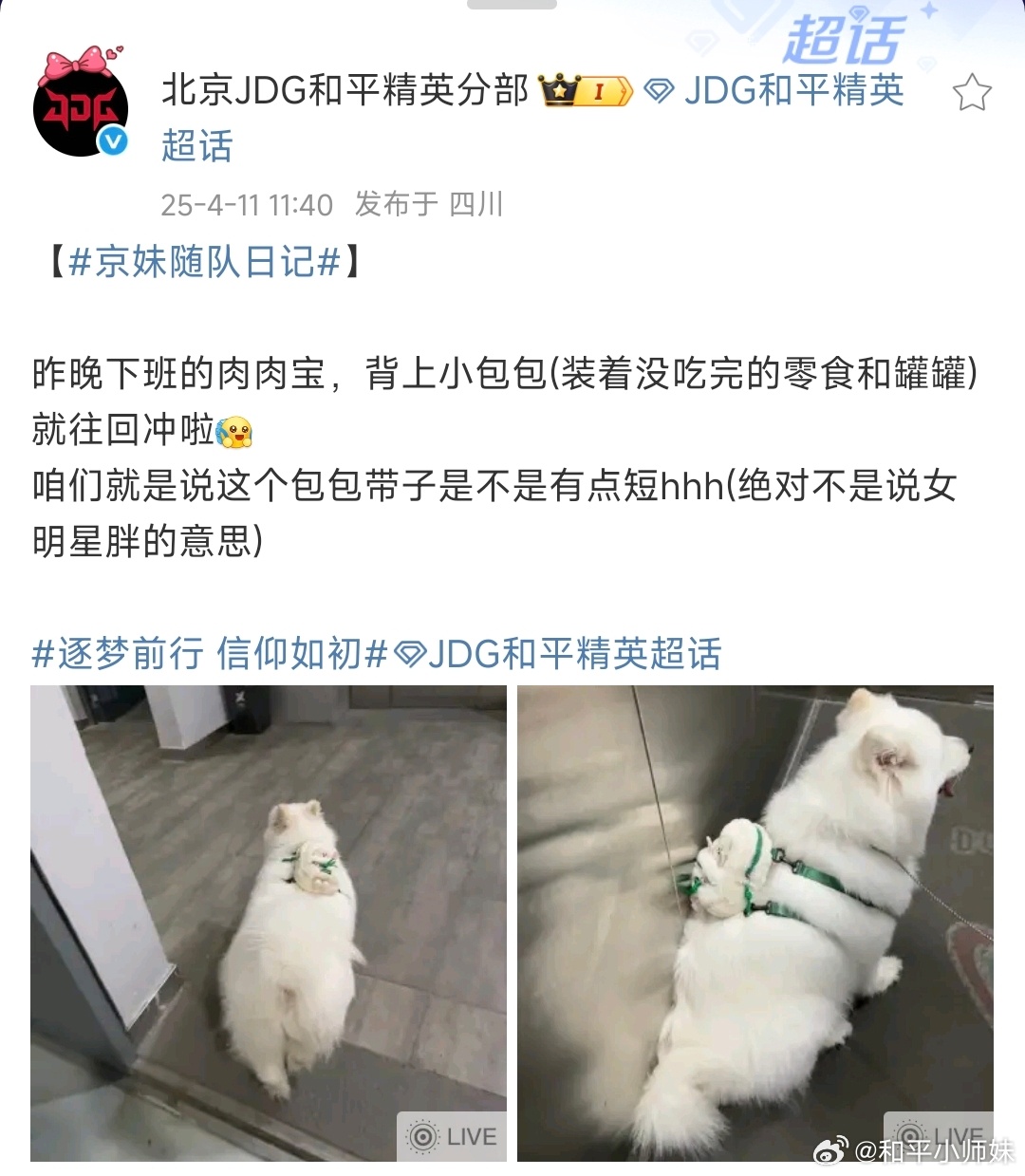 打工的宝宝下班啦～肉宝好乖，自己背书包[亲亲][亲亲]和平精英职业联赛[超话]2