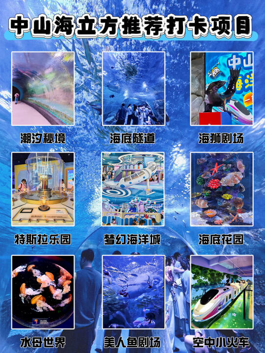 中山海洋馆，暑假游玩推荐打卡项目🪸