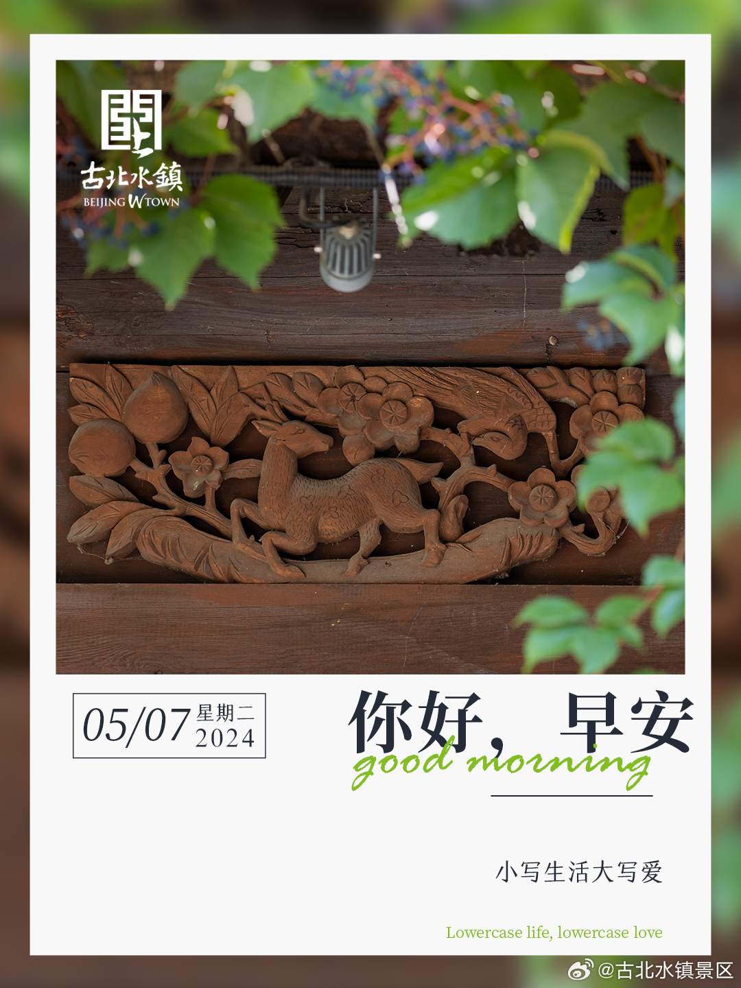 小写生活大写爱早安，宝子们~#长城下的鸣桡小镇# #春日cityhappy计划#