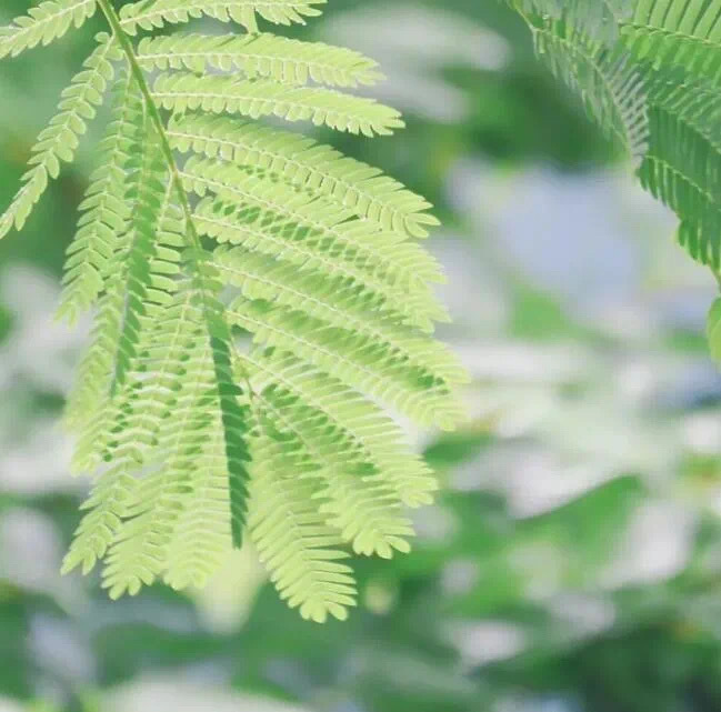 多生一点慈悲心，把人间看得淡一点，不要为一句话、一件事情不开心啊。如果为一件事、