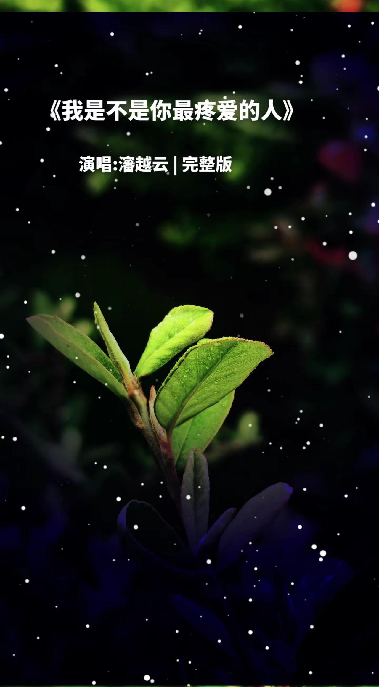 世界上最可笑的事情就是， 我待你与旁人不同。你却对我不如别人任何关系。你给我珍惜