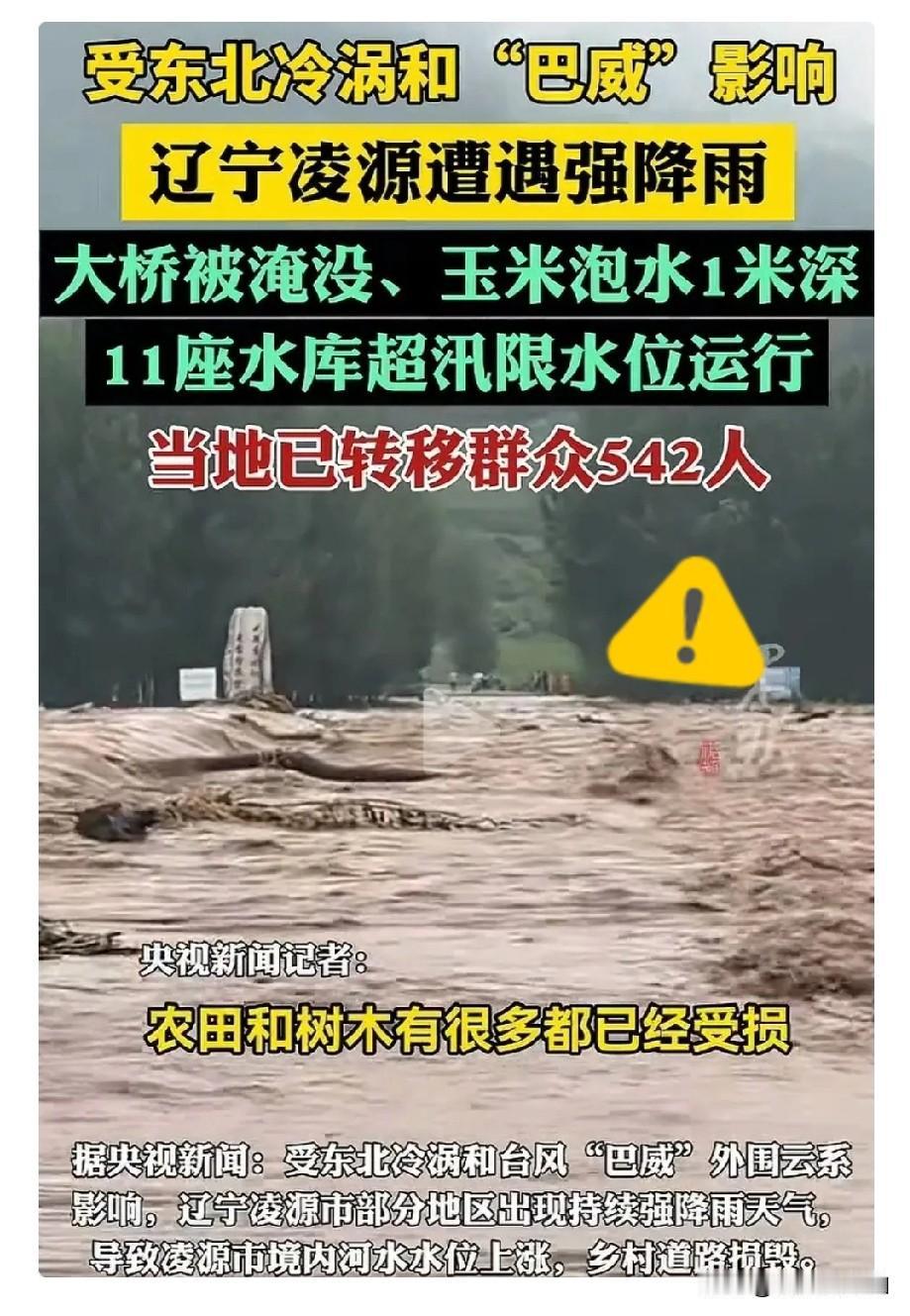 浙江人懵了，
江苏人也懵了，
估计连辽宁人自己也懵了，大家怎么也没想到，本来应该