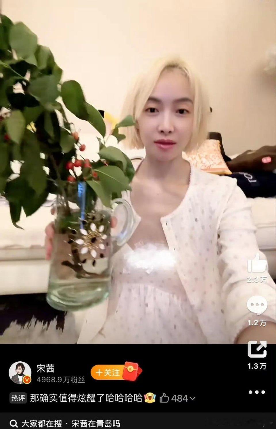 宋茜是被谁威胁了吗？为什么要变成黄毛 