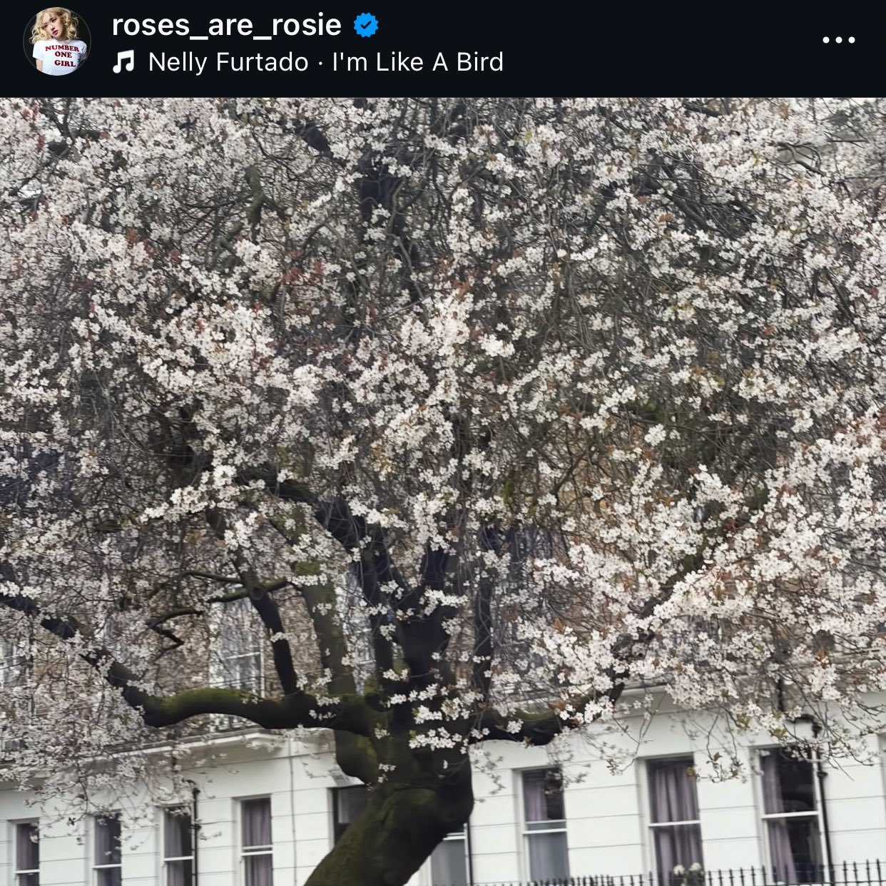 chaesoo你俩啥意思😋 