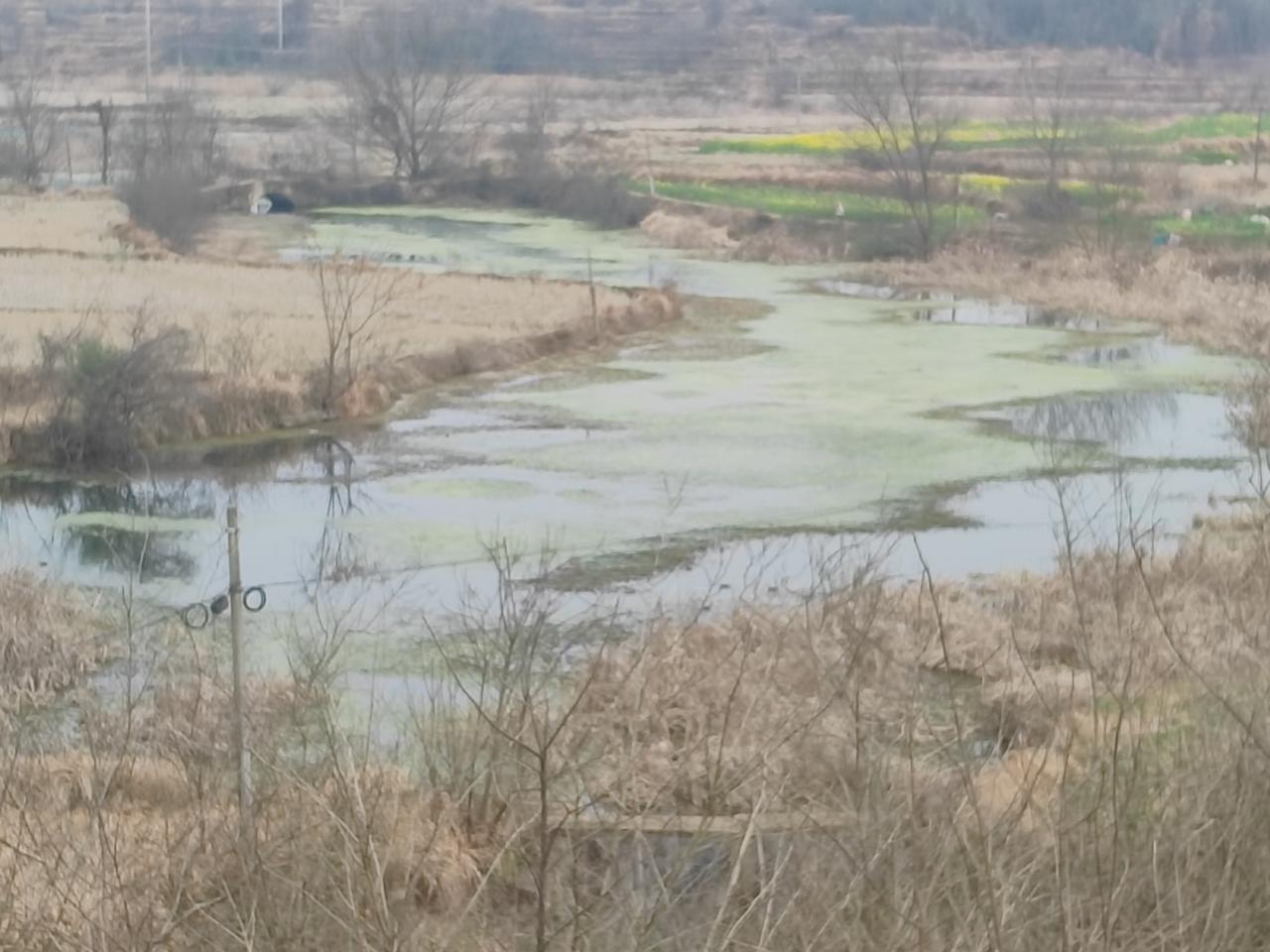 这是我从小长大的地方
今天回老家，特意站在对门的小山上拍了一张家乡小河的照片。