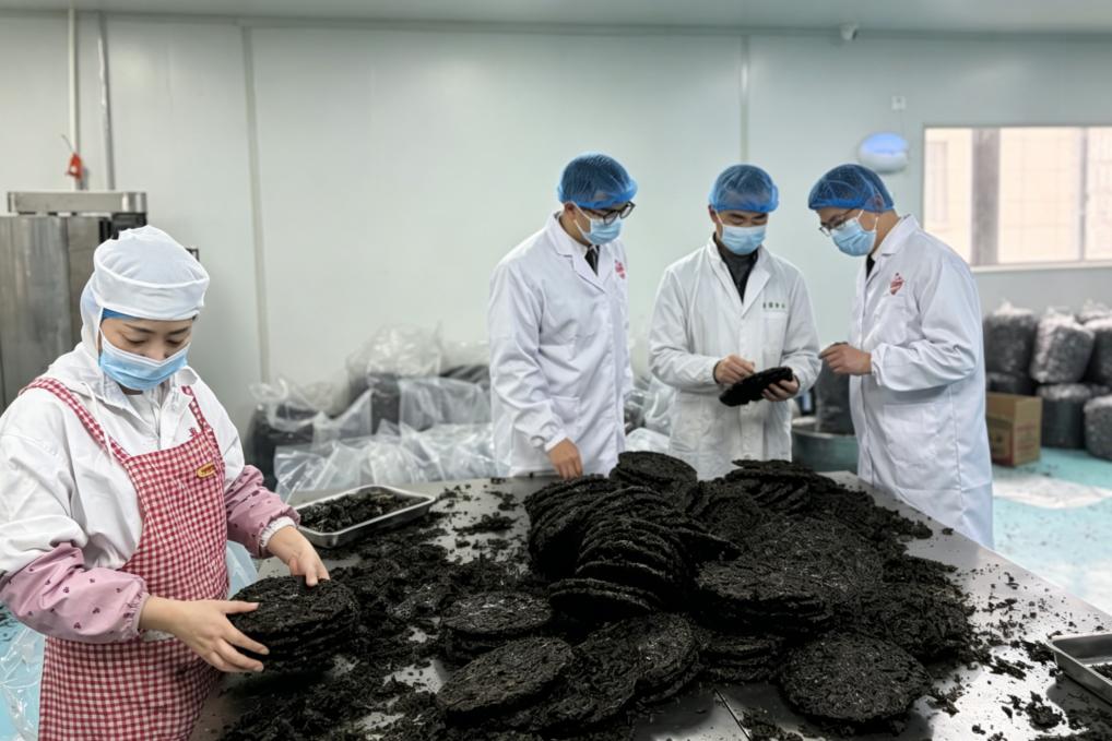 洞头紫菜首供香港，“中国紫菜之乡” 再拓出海新通道

4月13日，浙江喜康食品科