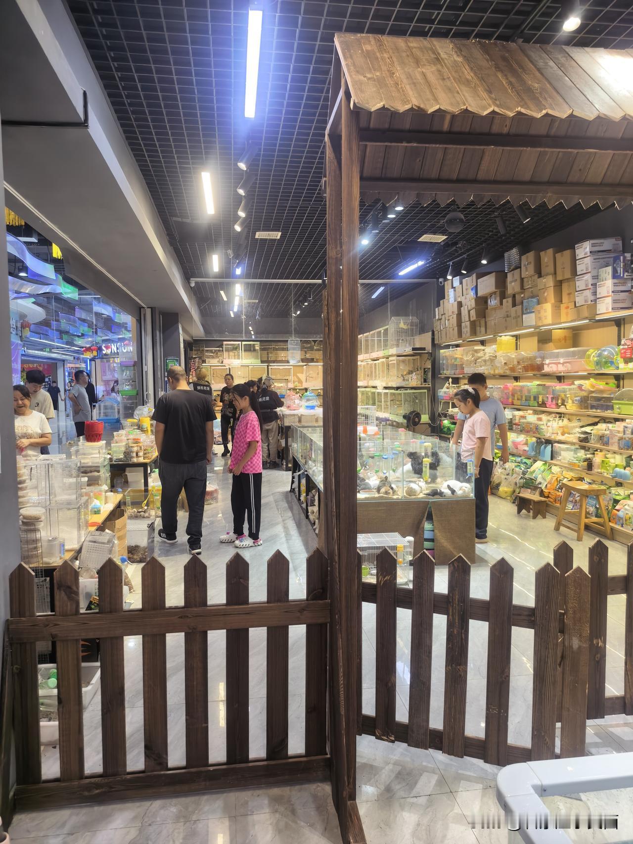 今天宝宝的快乐来自白佛花鸟鱼虫市场！平时看动物去动物园还要花钱，想撸猫去猫咖还要