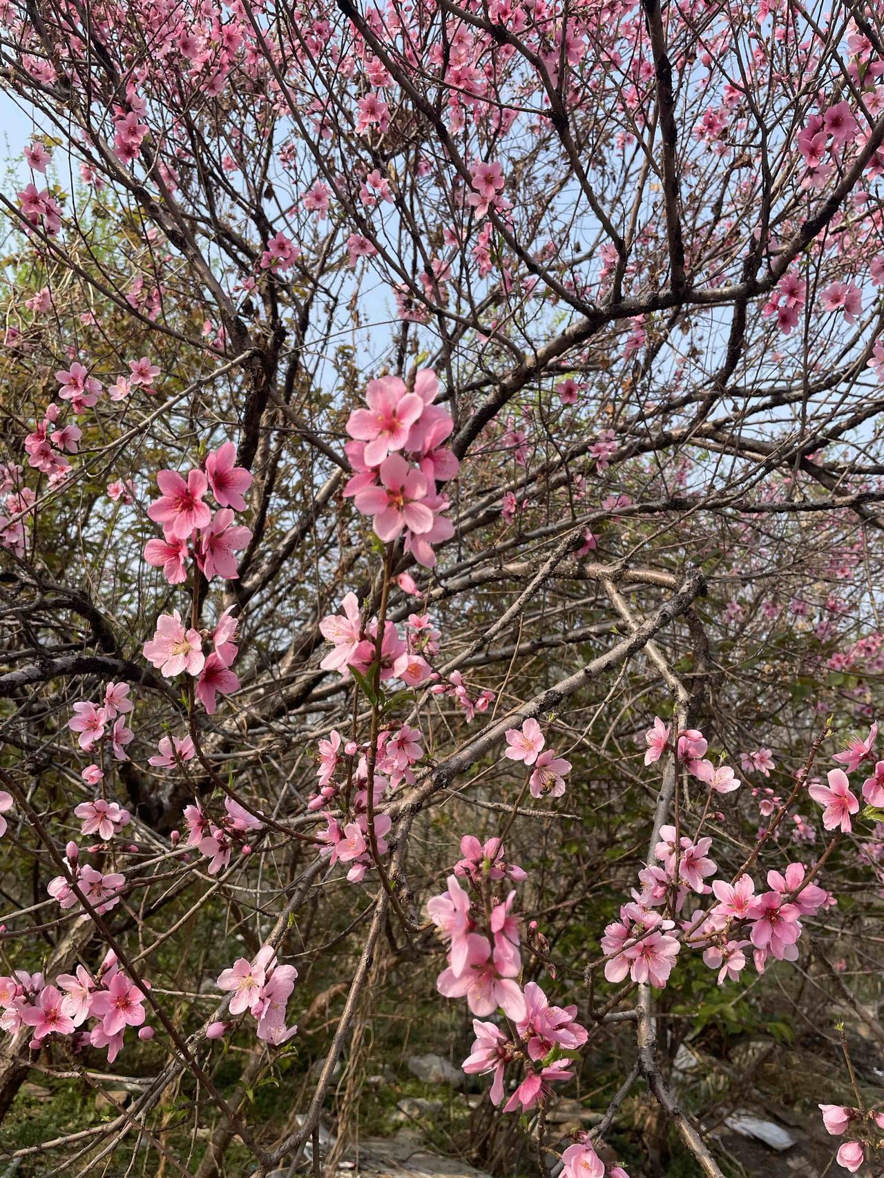 今天点外卖的时候遇到一个特别有个性的商家。

你点他家的外卖，先给你赠一根烤肠，