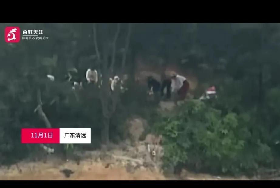 多位居民在水库边放生猫，
结果大量的猫没地方逃走，
很多直接跳进了水里，
导致很