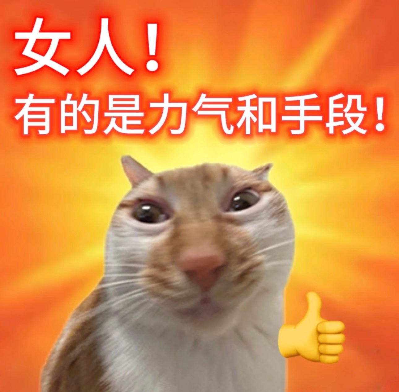 嘿嘿大圆满
