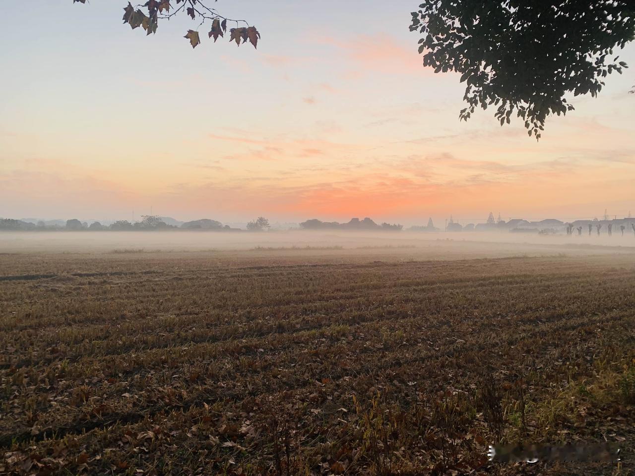 今天天气不错，共享单车63KM，江浙沪兜了一圈，青浦->西塘->汾湖->青浦新环