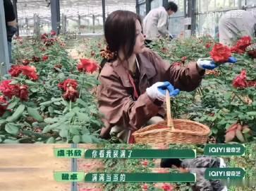 虞书欣摘花有劲又有梗虞书欣能者多劳劳不停 虞书欣自带综艺天赋，不仅身体素质超能扛