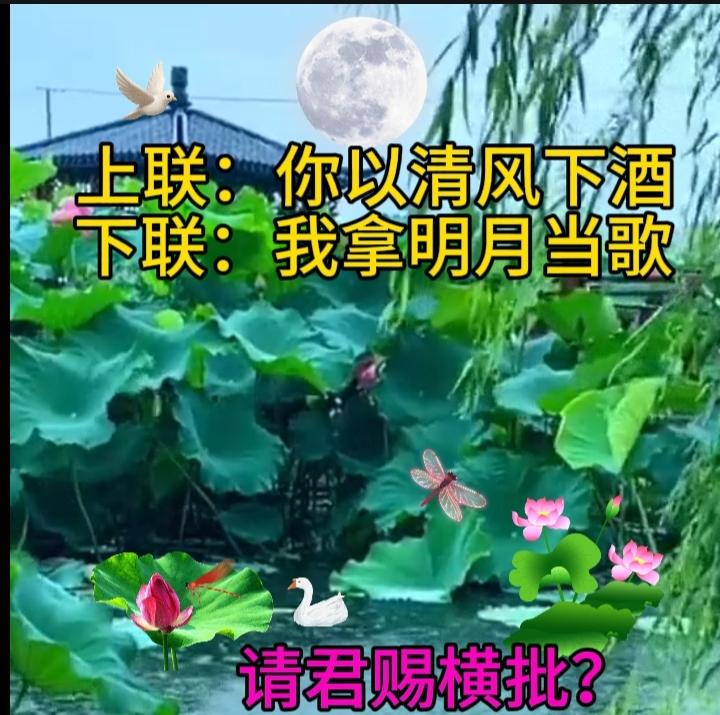 上联：你以清风下酒
下联：我拿明月当歌
请君赐横批？