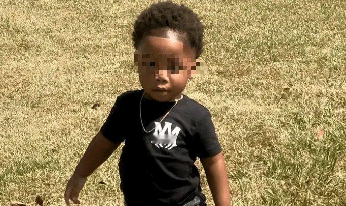 美国这起悲剧太让人痛心了！佐治亚州48岁保姆斯泰西·惠勒·科布，涉嫌经营无执照日