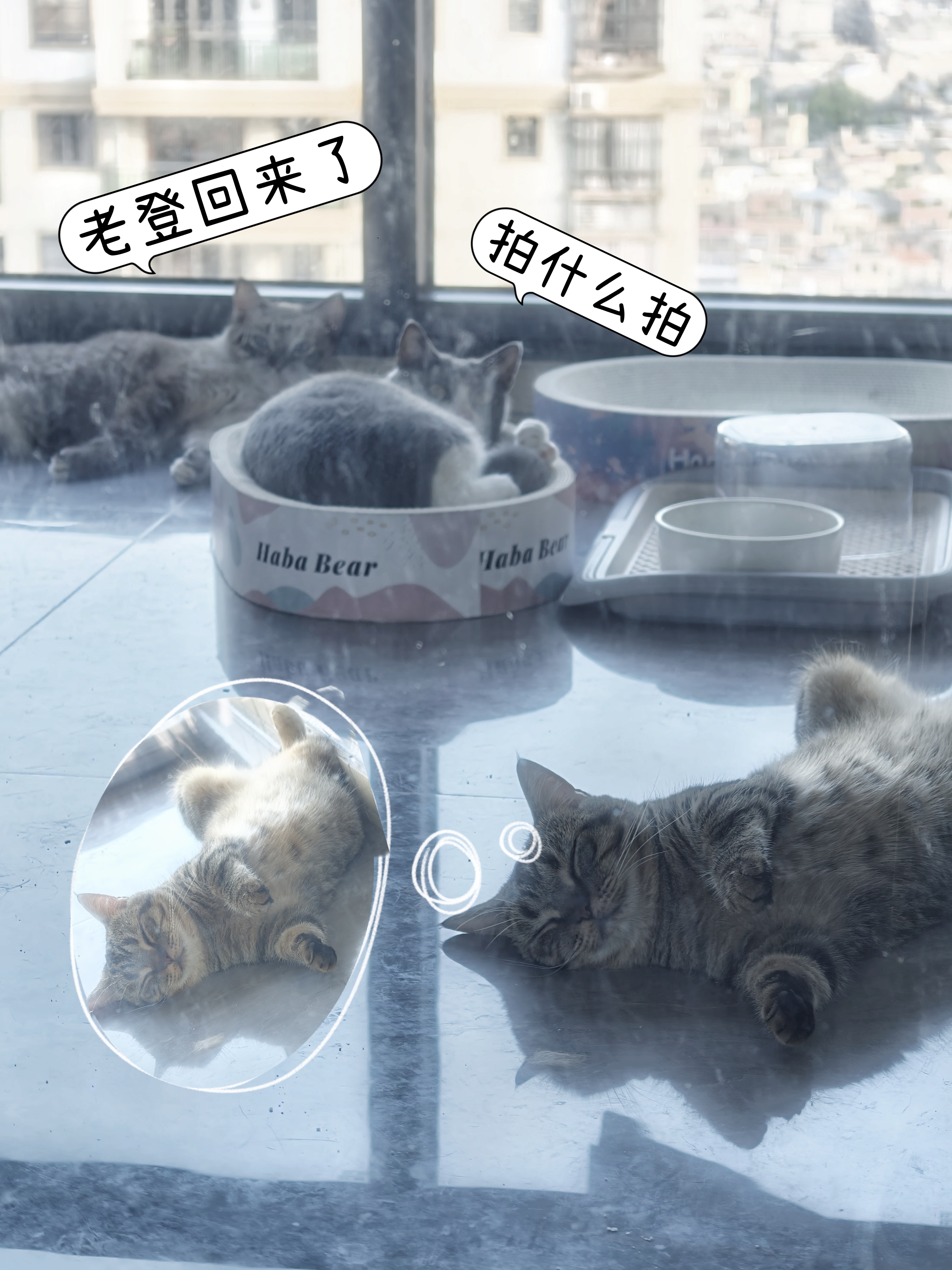 生活手记夜色温柔，适合放空，更适合做梦。🎈 晚安，把脑子里的万千思绪打包封存，