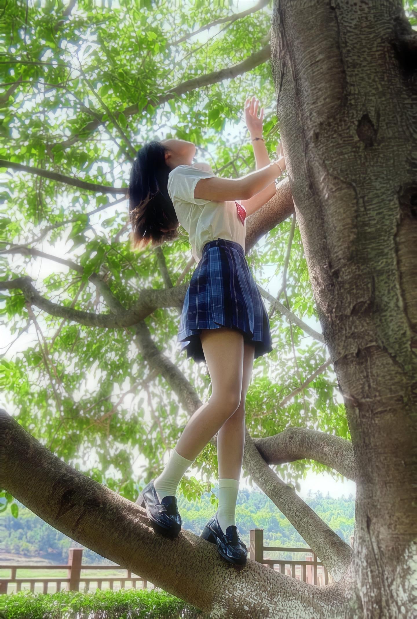 森林的生命和自由的人生🌳