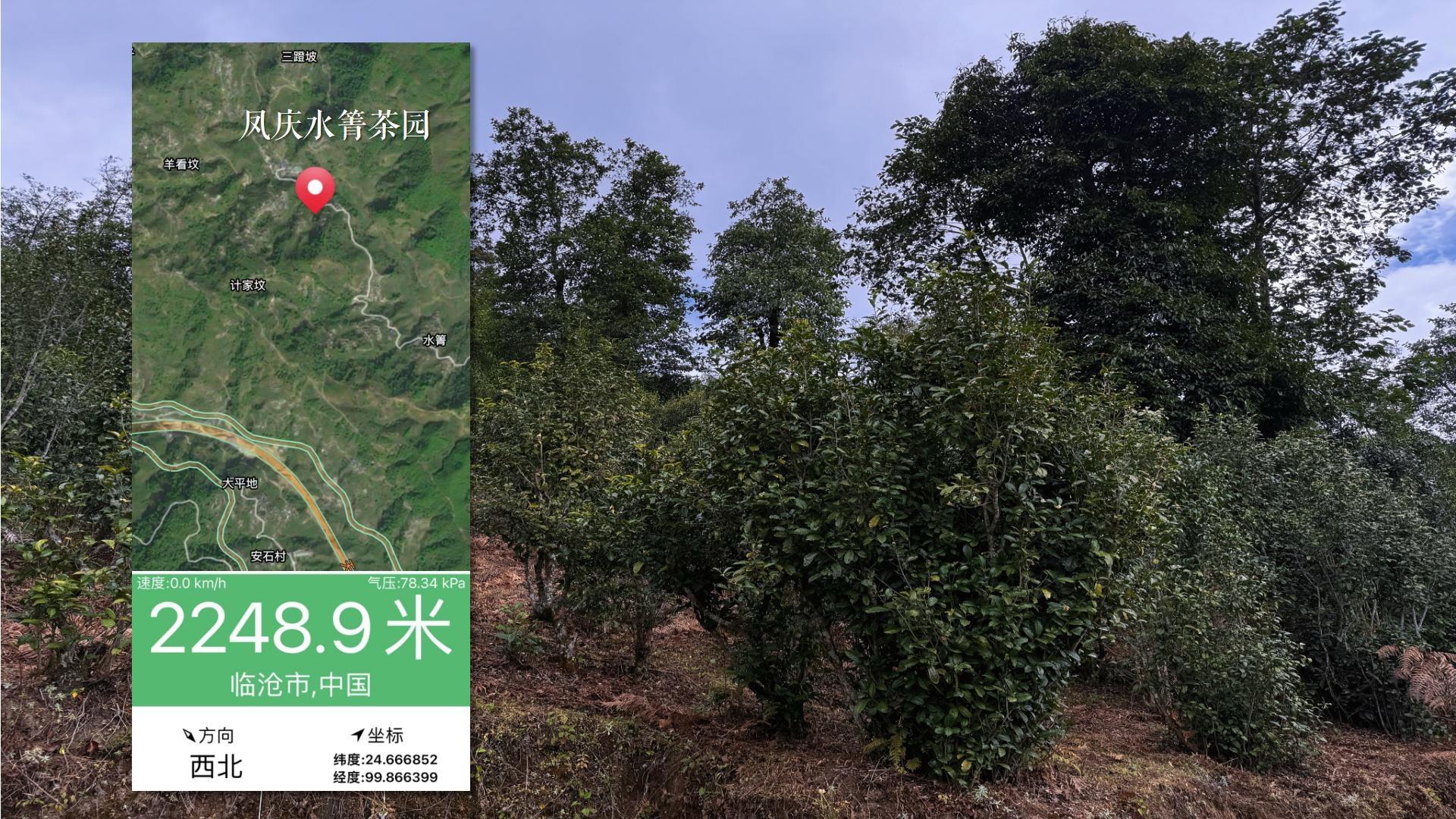 做茶叶啦做茶叶啦，有需要茶叶的可以dd 我