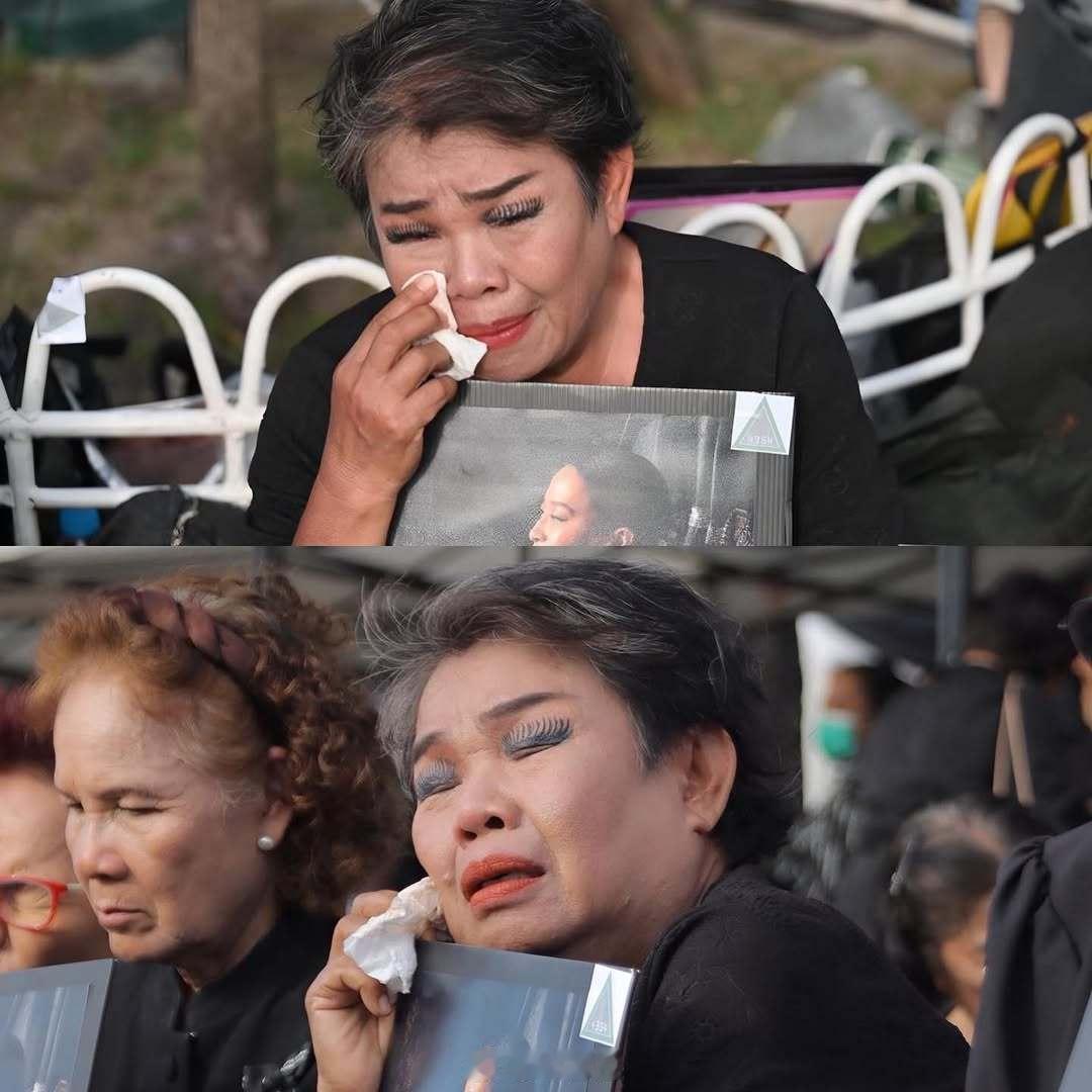 都在悼念帕公主，本来挺悲伤的。结果这位大姨的眼睫毛直接抢戏，能把悲情现场搞出笑点
