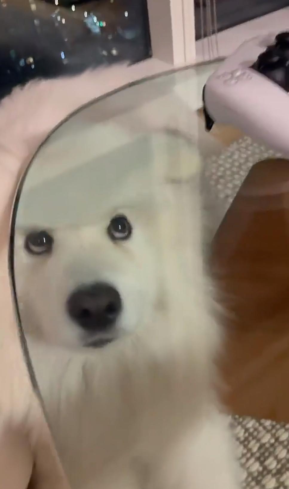 女的发现男的有老婆还有一堆女朋友又一个时间管理大师