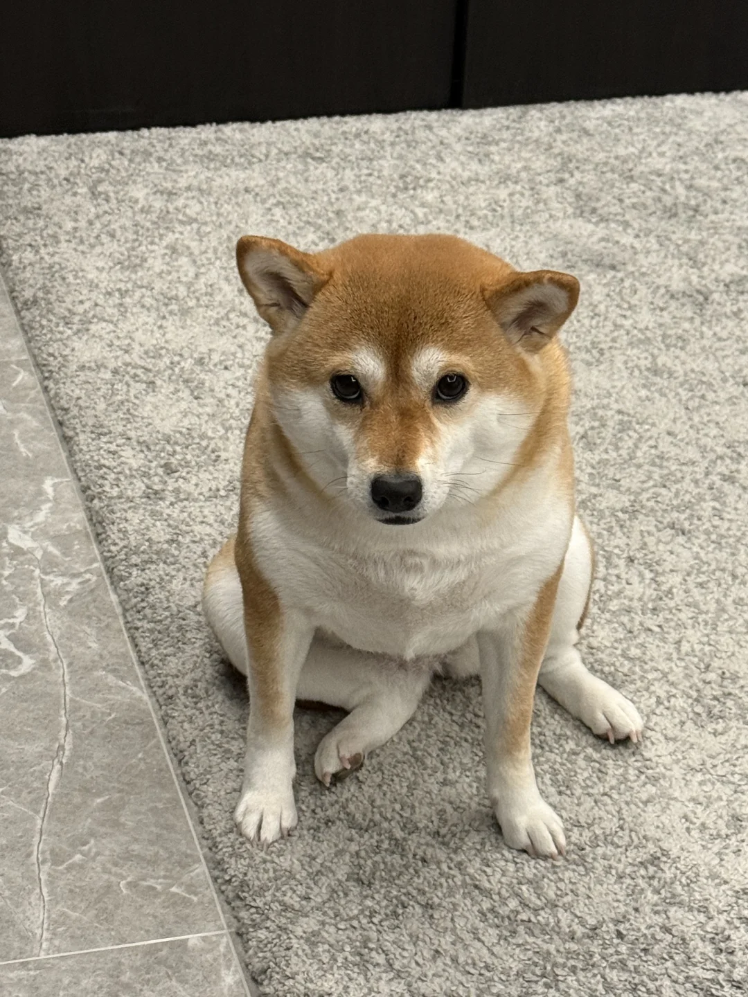 可爱攻击 汪的身材很曼妙