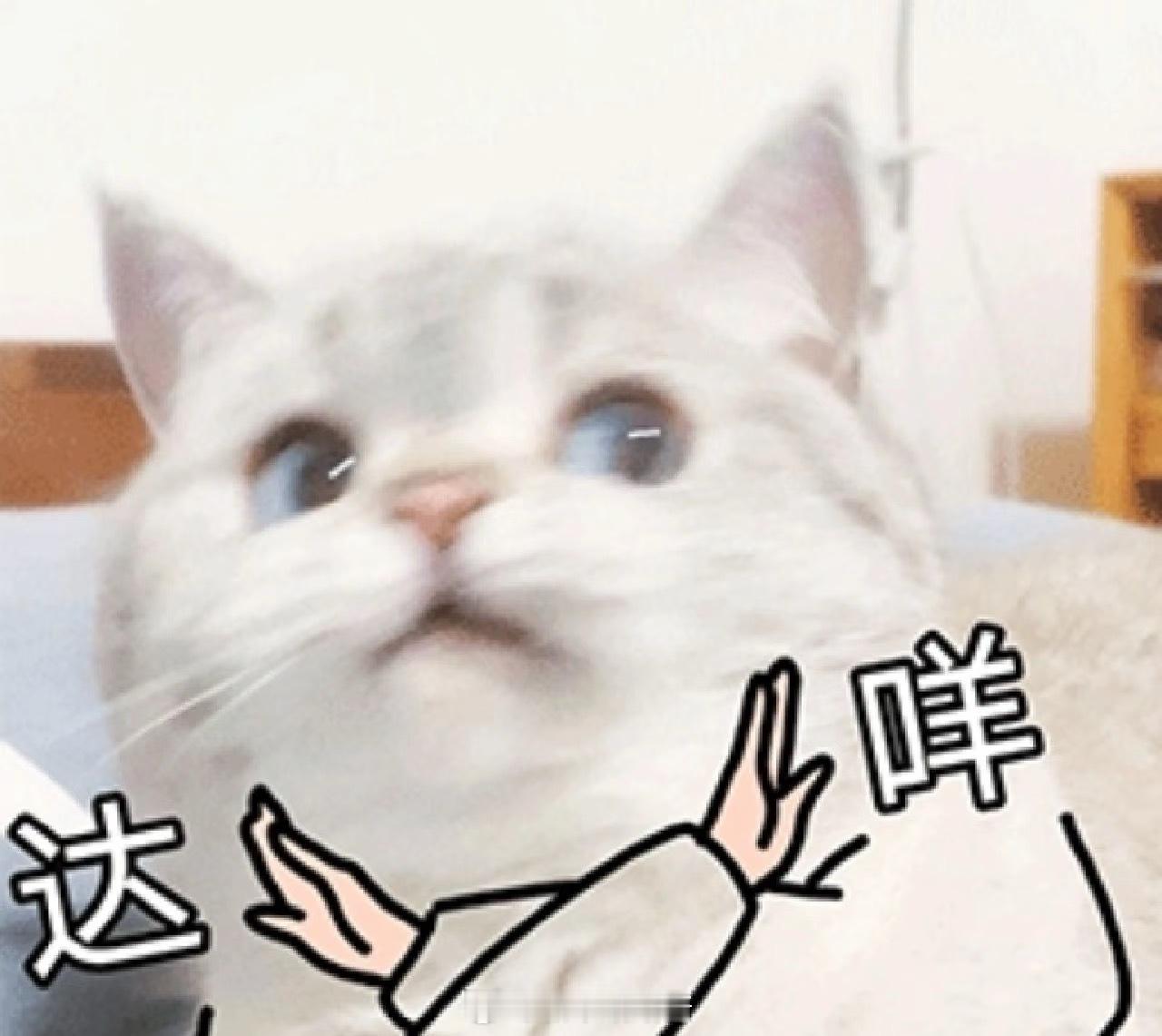 实在不行过年让孩子穿校服吧过年非得穿新衣服吗？听路酱一句劝。旧衣服挺好的 路路酱