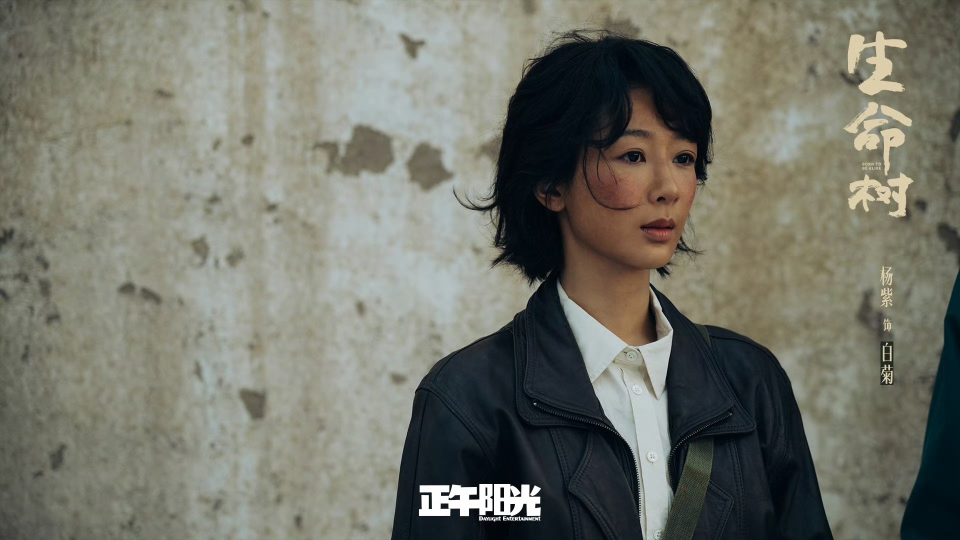杨紫腾讯芒果爱奇艺的剧都获得提名 杨紫三个平台的剧都获得提名 杨紫跨平台杀疯了！